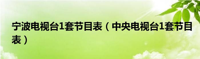 宁波电视台1套节目表（中央电视台1套节目表）