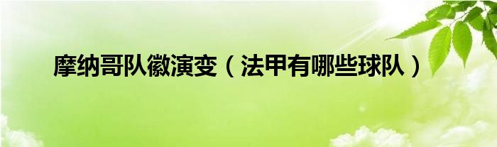 想必现在有很多小伙伴对于法甲有哪些球队方面的知识都比较想要了解