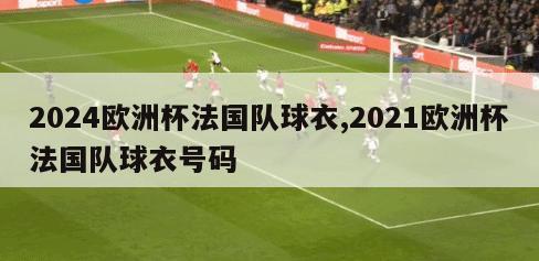 2024欧洲杯法国队球衣,2021欧洲杯法国队球衣号码