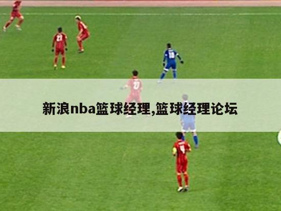 新浪nba篮球经理,篮球经理论坛