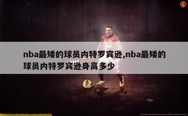 nba最矮的球员内特罗宾逊,nba最矮的球员内特罗宾逊身高多少