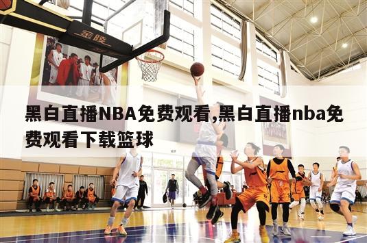 黑白直播NBA免费观看,黑白直播nba免费观看下载篮球