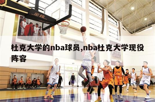 杜克大学的nba球员,nba杜克大学现役阵容