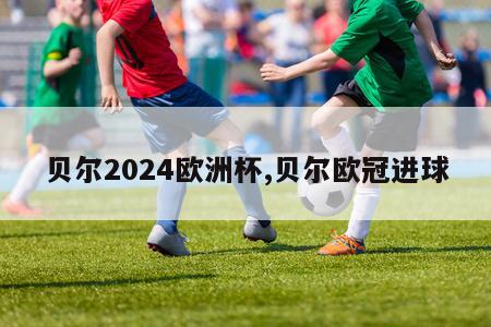 贝尔2024欧洲杯,贝尔欧冠进球