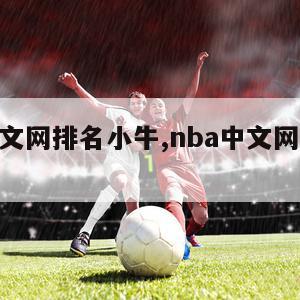 nba中文网排名小牛,nba中文网最新交易