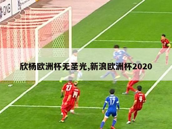 欣杨欧洲杯无圣光,新浪欧洲杯2020